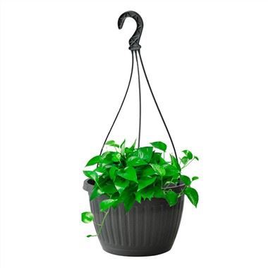 Plantador de suspensão de 10 polegadas