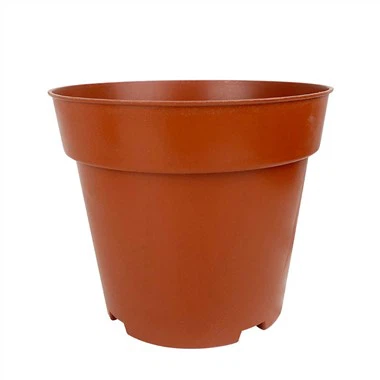 Plantadeira de mudas de plantas suculentas